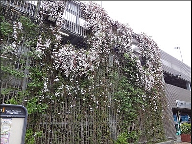 世田谷区南烏山6丁目楽器可（ピアノ・弦楽器）マンション 外観