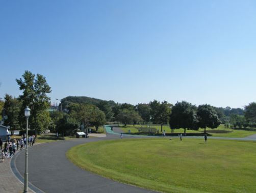 小宮マンション 周辺画像7