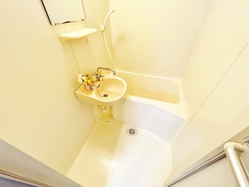 スターゲートマジョリティー その他8