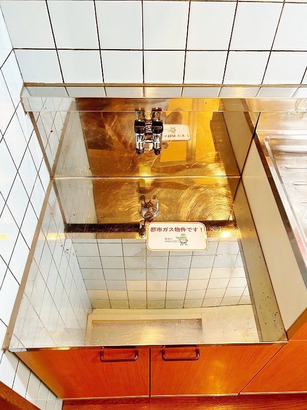 スターゲートマジョリティー その他19