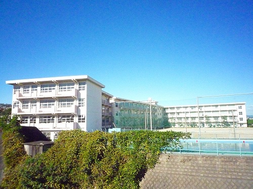 LEON篠崎（レオン篠崎） 周辺画像5