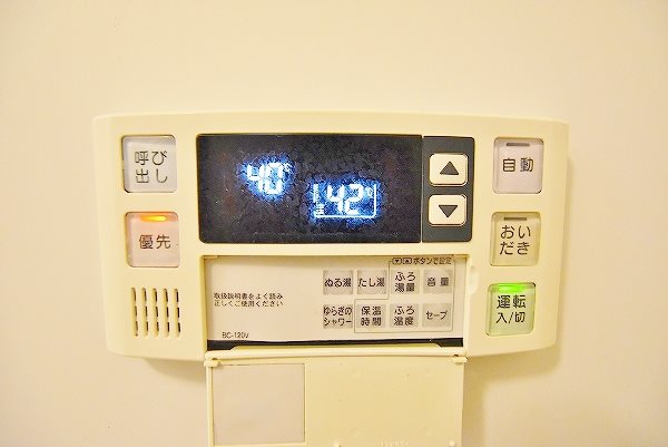 ウィークスステラ その他2