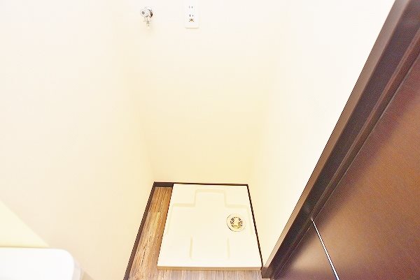 ウィークスステラ その他7