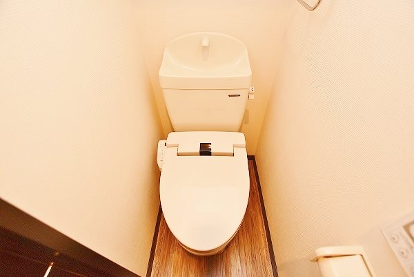 ウィークスステラ その他10