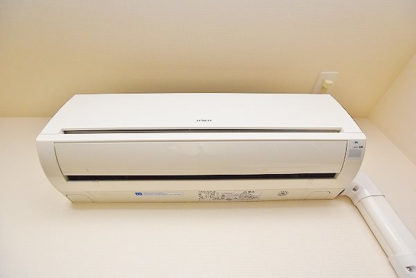 ウィークスステラ その他19