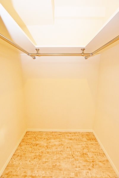 ウィークスステラ その他5