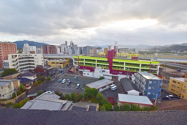 ウィークスステラ その他6