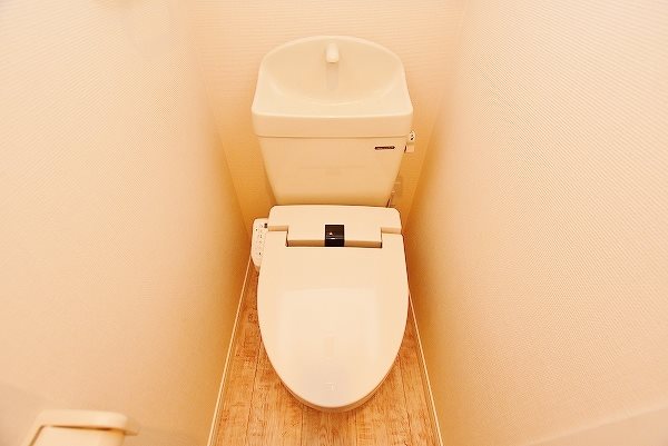 ウィークスステラ その他11