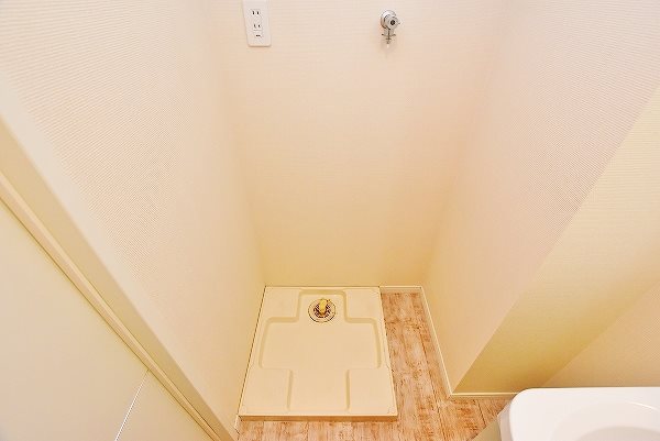 ウィークスステラ その他14