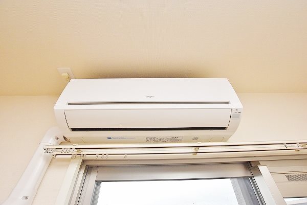 ウィークスステラ その他16