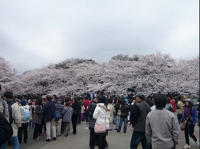 台東区上野桜木1丁目楽器可（ピアノ・弦/管楽器・声楽・24時まで）マンション その他