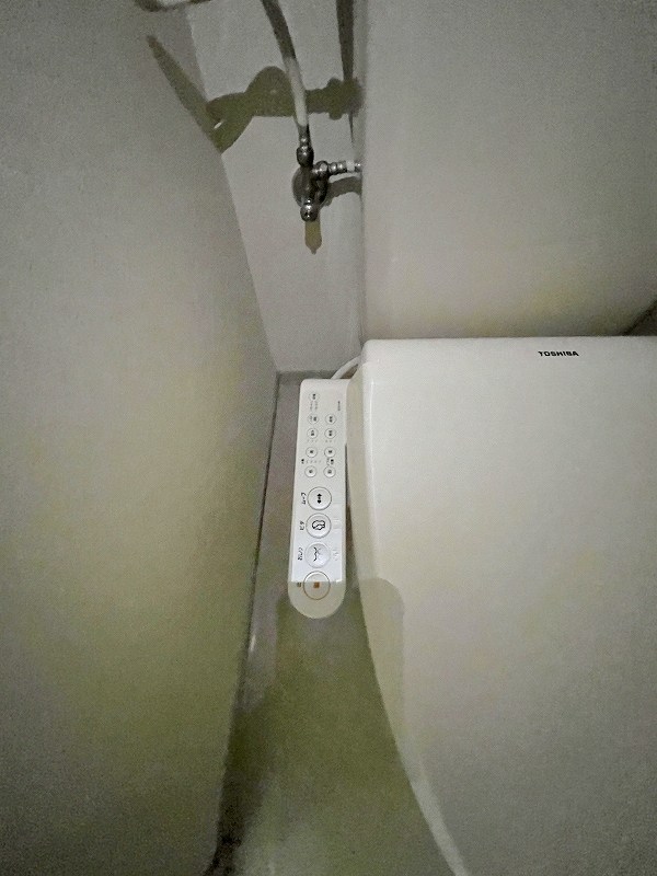 sini　lintu（シニーリントゥ） その他17