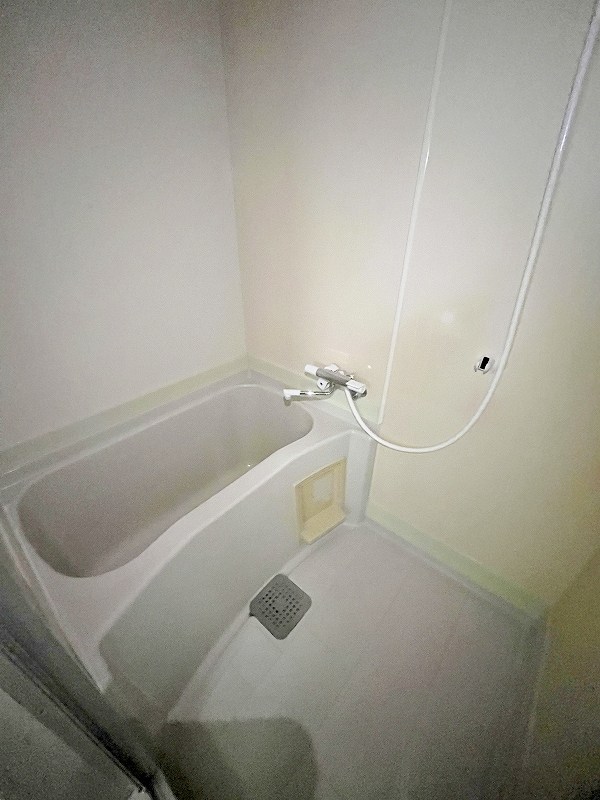 sini　lintu（シニーリントゥ） その他19