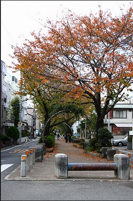 板橋区小茂根2丁目楽器可（ピアノ・弦/管）マンション その他