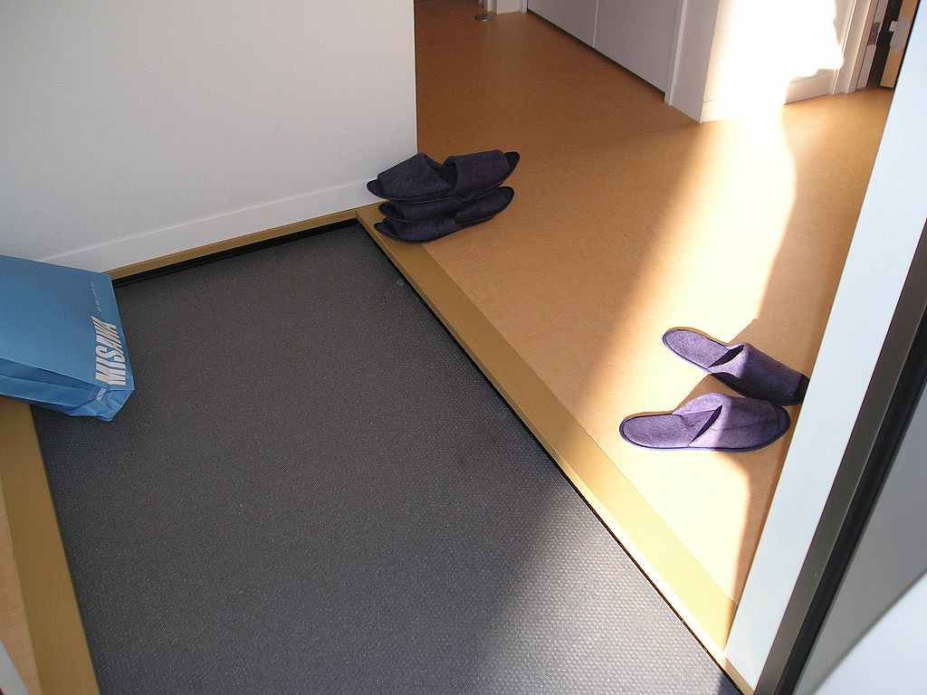 鶴田町一般住宅 玄関