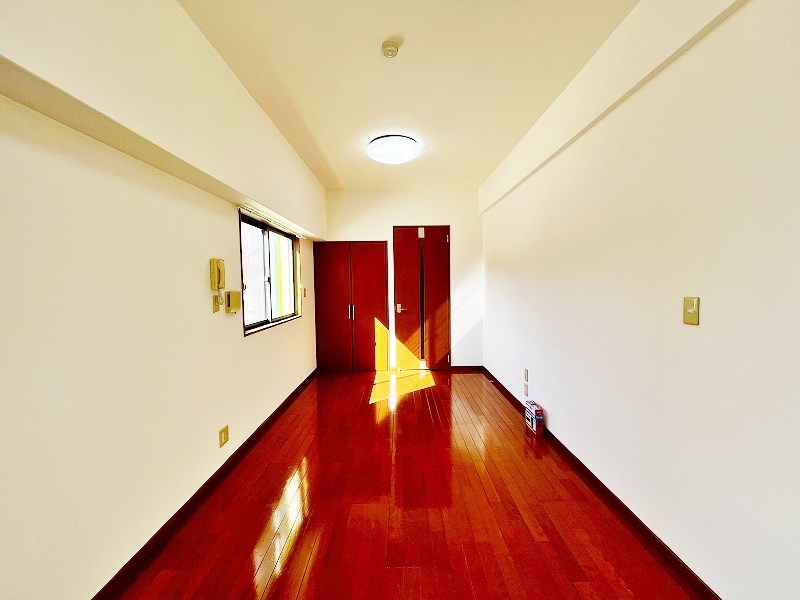 カーザミア  その他30