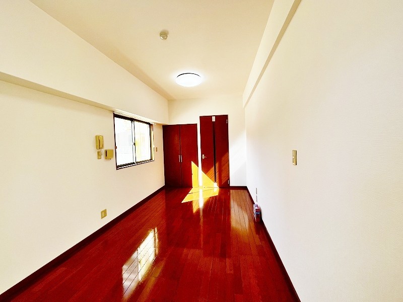 カーザミア  その他31