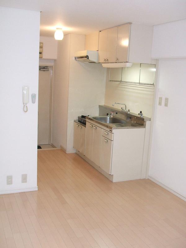 東建ﾆｭｰﾊｲﾂ九段 その他1