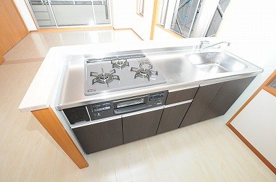 アヴィニールグランデ金田 その他17