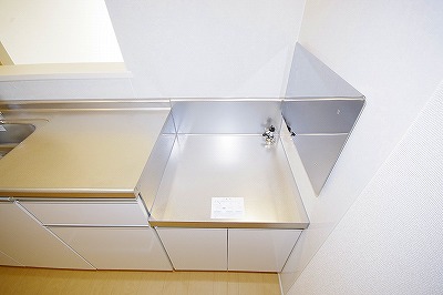 ペシェロッソⅠ その他12