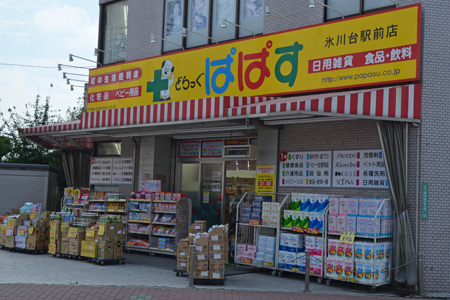 パーソネージュ氷川台 周辺画像4