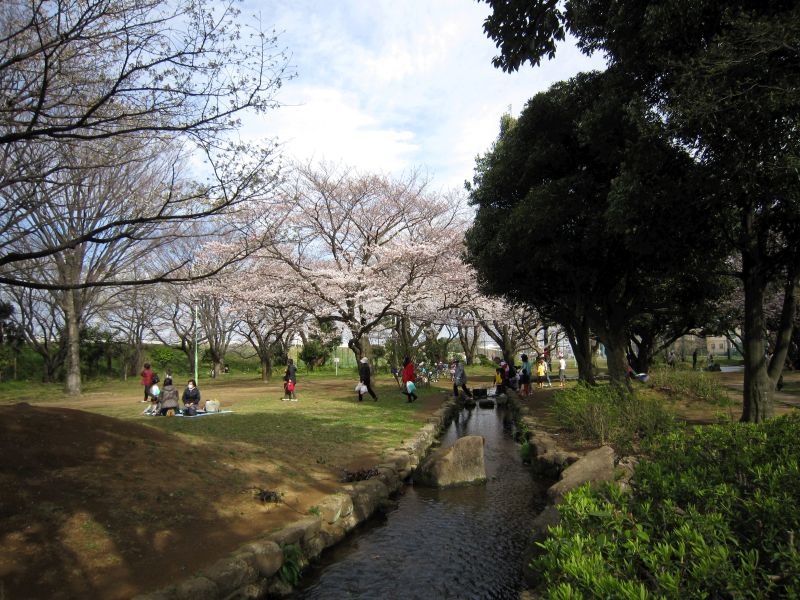 マークシティ 周辺画像7