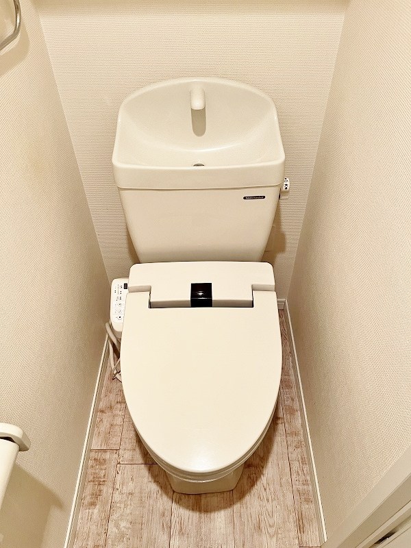 ウィークスステラ その他12