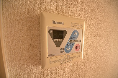 シャトレ黄金 その他8