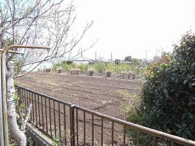 テラスハウスつくし その他6