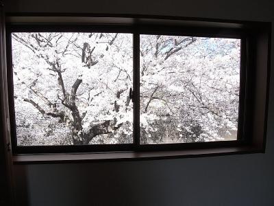テラスハウスつくし その他16
