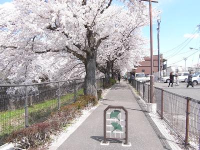 テラスハウスつくし その他29