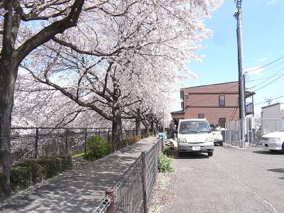 テラスハウスつくし その他31