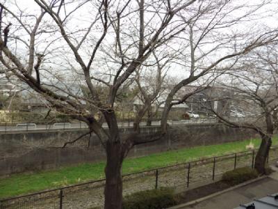 テラスハウスつくし その他32