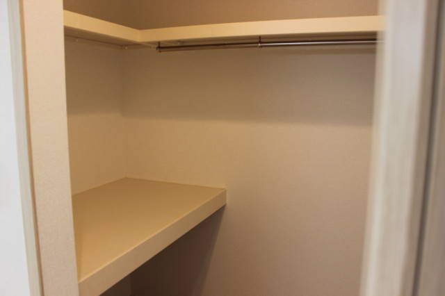 ヤマコウバシ その他5