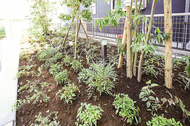 ファシーノ　FASCINO その他32