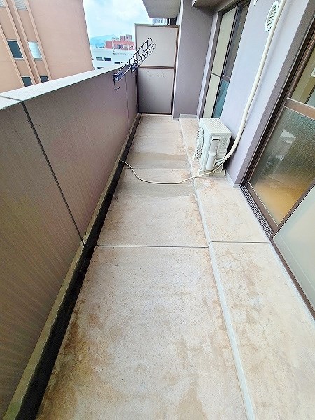 フィオレンティーナ その他41