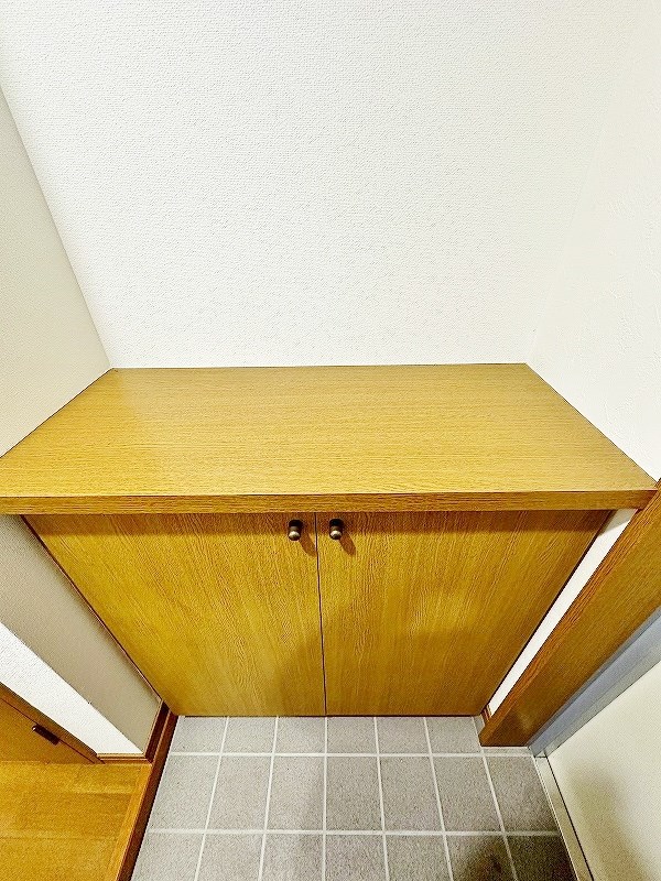 フィオレンティーナ  その他9