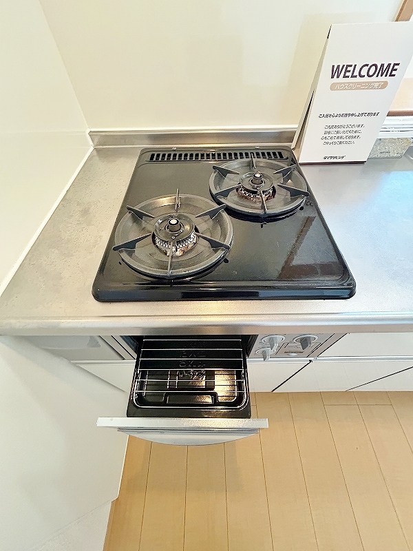 グレイスイナミツⅡ その他24