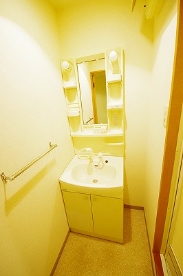 デザイナープリンセス３３ その他1