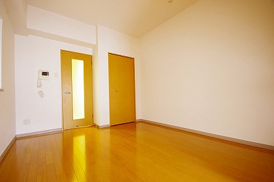 デザイナープリンセス３３ その他12