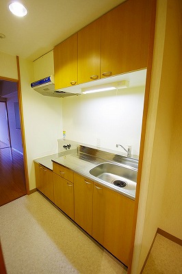 デザイナープリンセス３３ キッチン