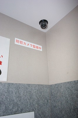 デザイナープリンセス３３ その他26