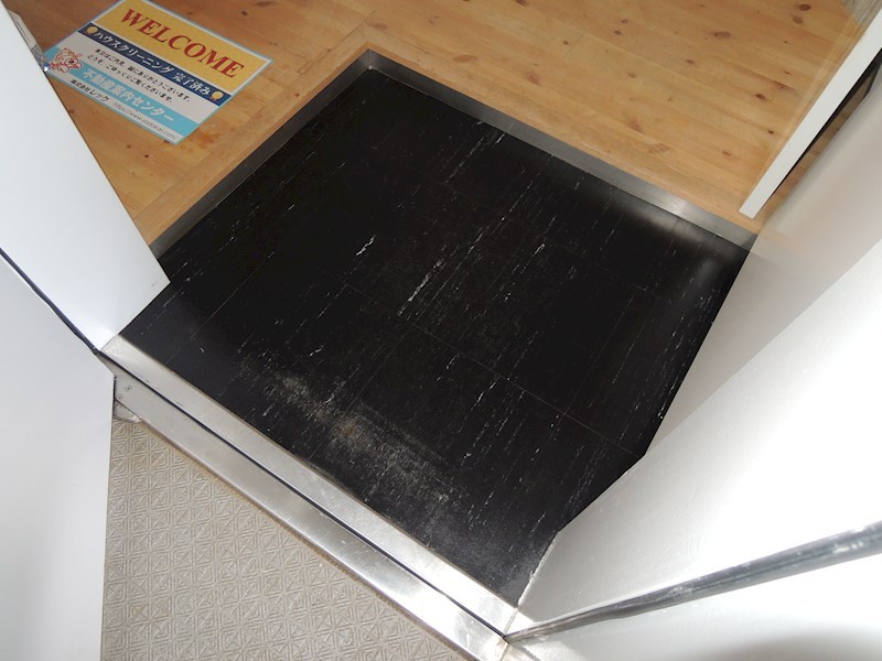 ノーザンテラス その他12