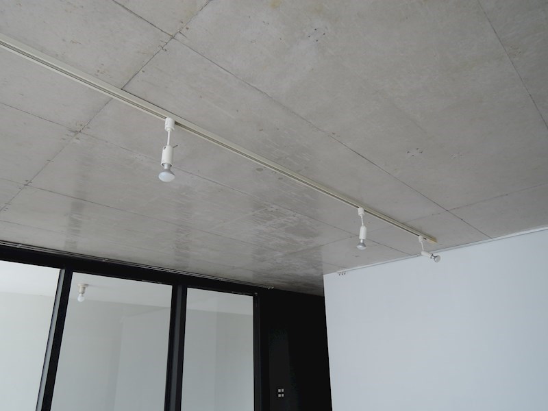 ノーザンテラス その他17