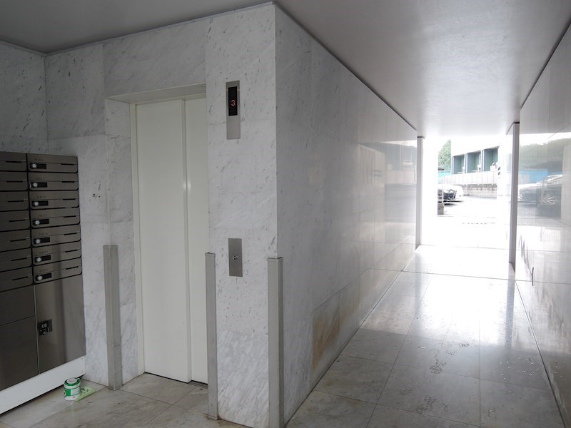 ノーザンテラス その他30