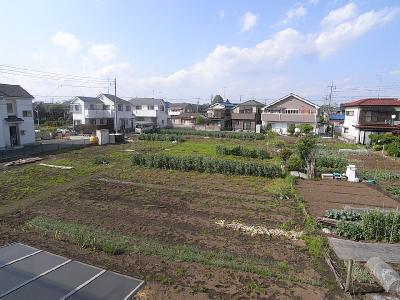 ウエストコート その他16