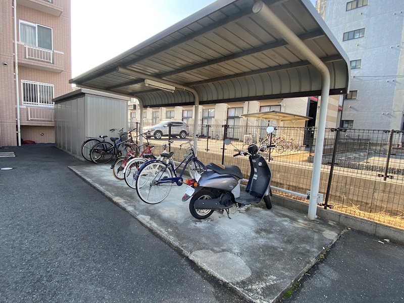 Solfege(ソルフェージュ) その他外観4