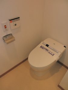 カスタリア銀座Ⅲ その他1