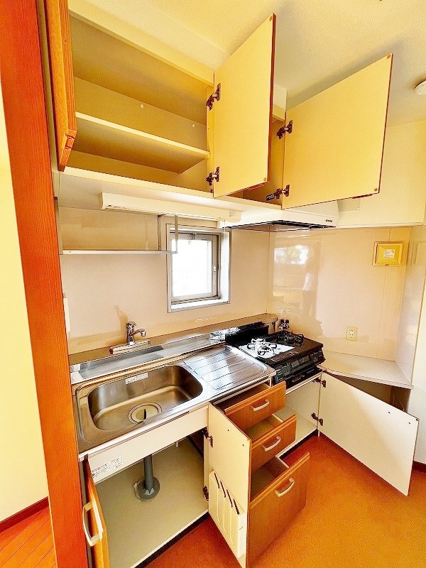 YANAGISIGHT　(ヤナギサイト) その他23