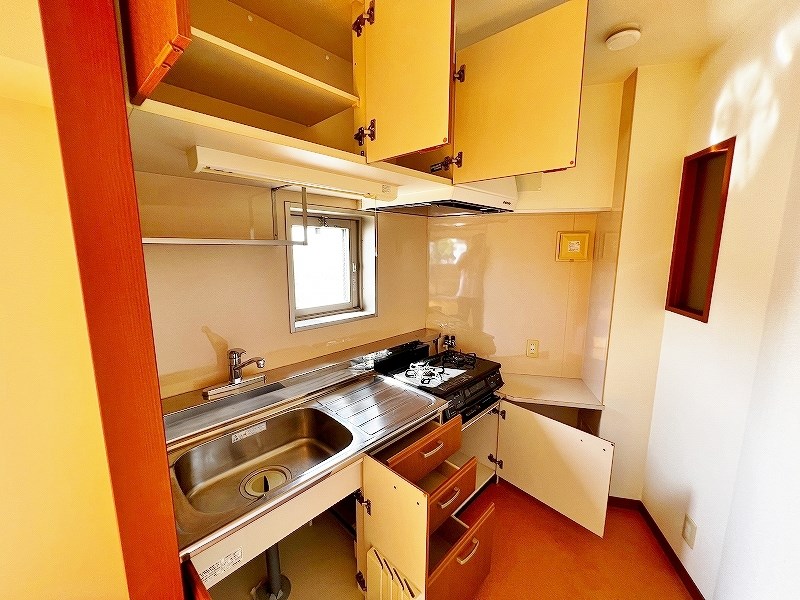 YANAGISIGHT　(ヤナギサイト) その他24